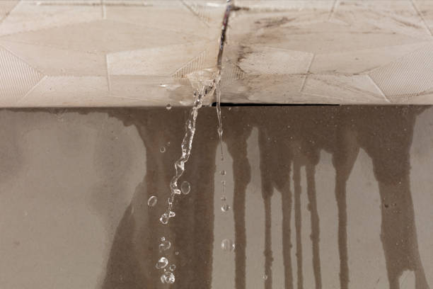 Professional Structural Drying technician working in Highland, MI